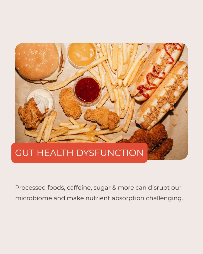 Marea Wellness, Gut health dysfunction