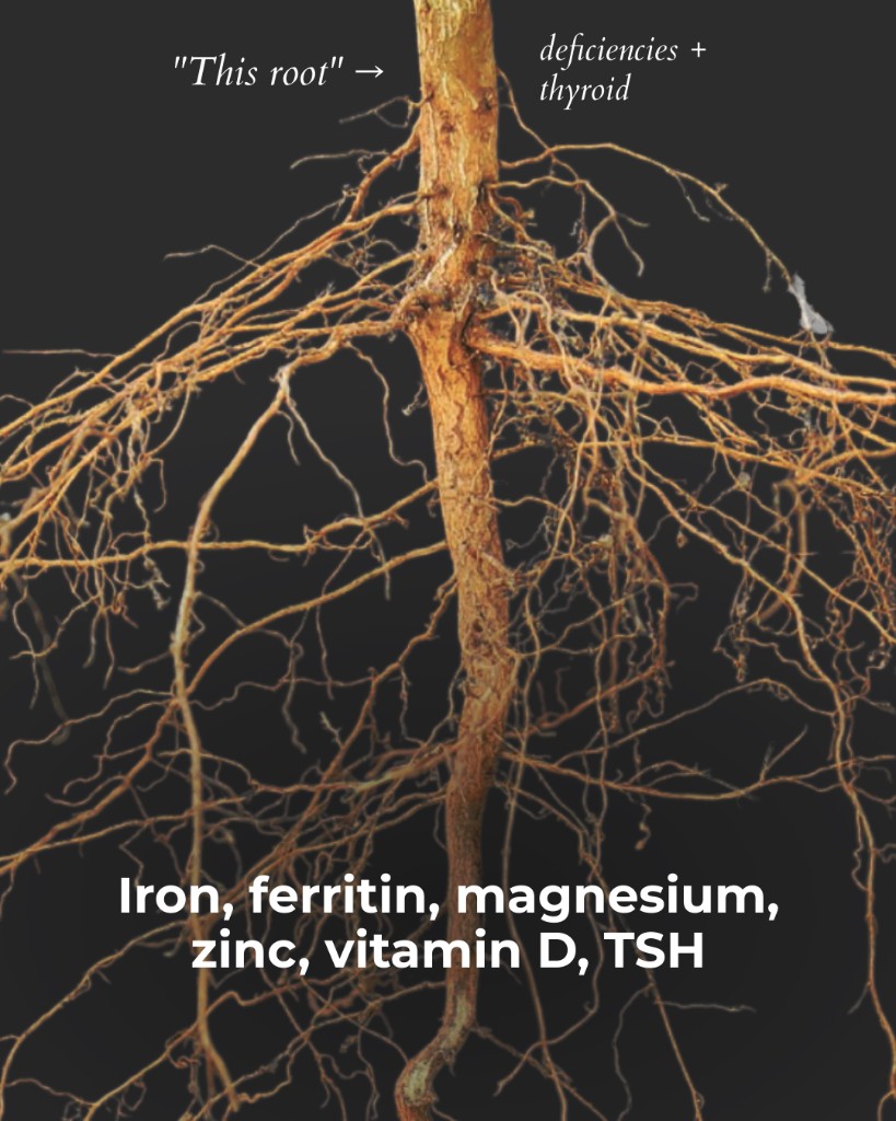 Marea Wellness, Root cause expectation: hormones