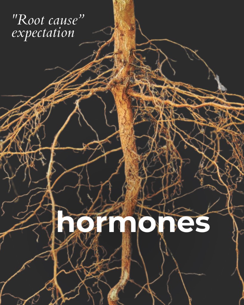 Marea Wellness, Root cause expectation: stress