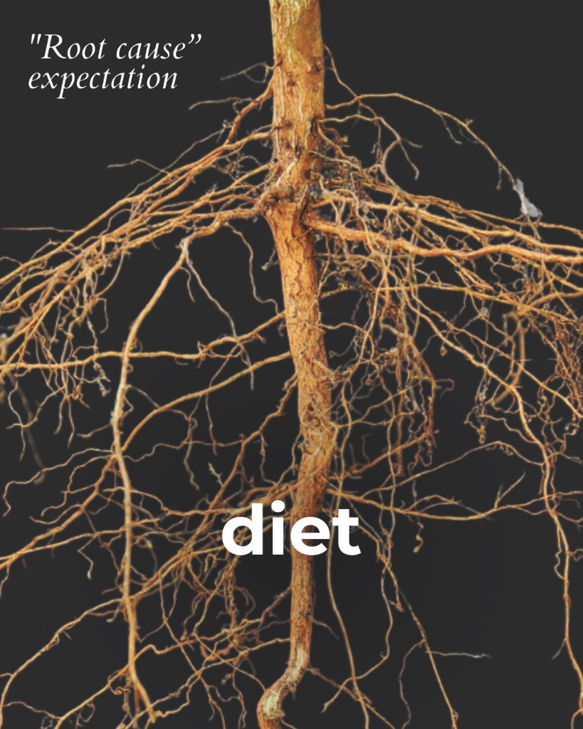 Marea Wellness, This root: gut and inflammation