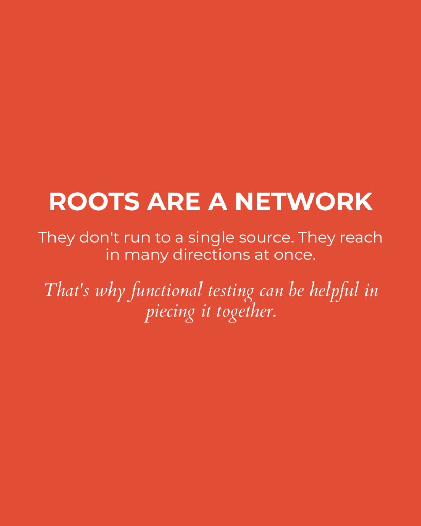 Marea Wellness, Roots are a network